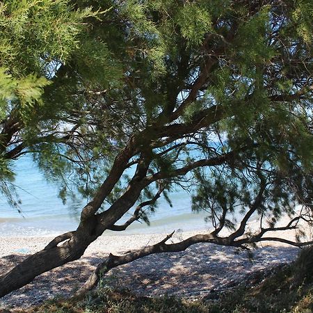 Corellia Asterias Beach Hotel Theológos Zewnętrze zdjęcie