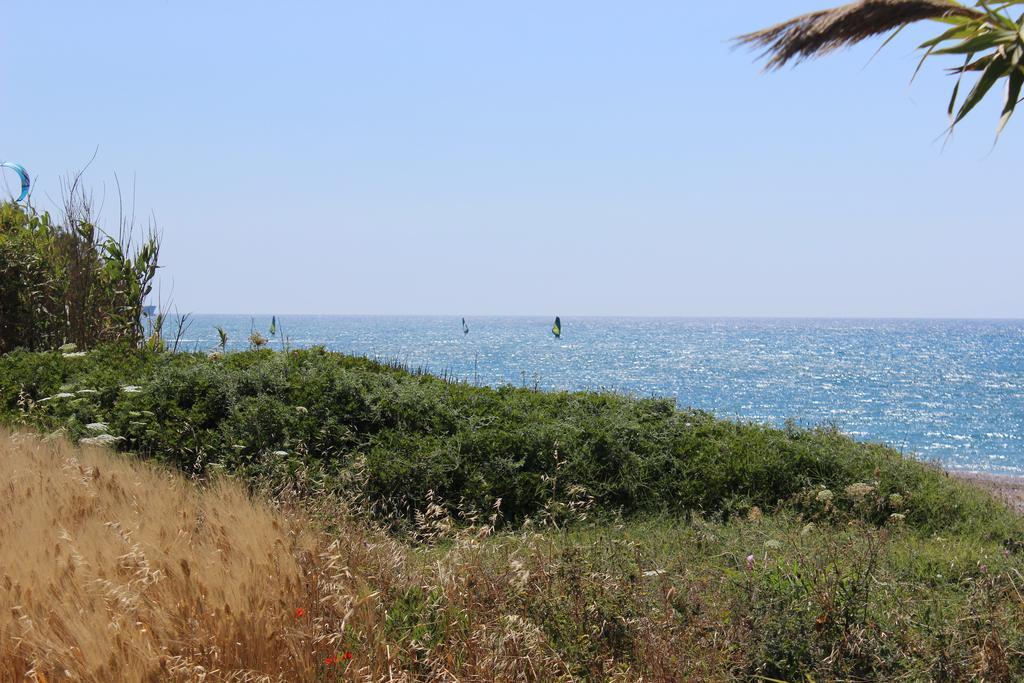 Corellia Asterias Beach Hotel Theológos Zewnętrze zdjęcie