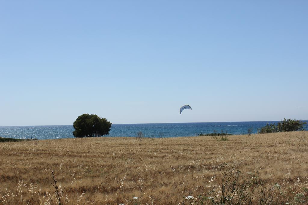Corellia Asterias Beach Hotel Theológos Zewnętrze zdjęcie
